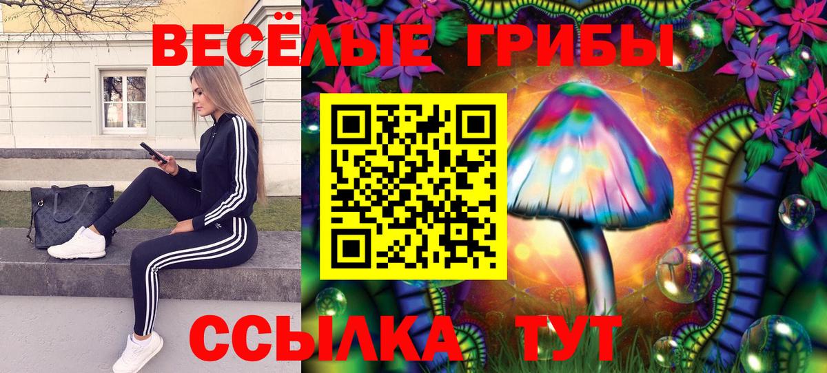 Псилоцибиновые грибы ЛСД Тихвин
