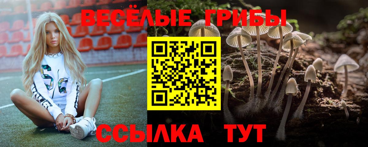 Тихвин  сколько стоит  Псилоцибиновые грибы MAGIC MUSHROOMS  Вход с VPN  Псилоцибиновые грибы Cubensis 